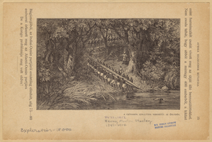 Image ID 814740