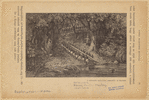 Image ID 814740