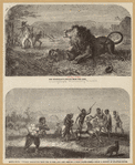 Image ID 814744