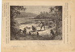 Image ID 814753