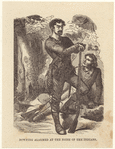 Image ID 814786
