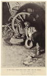 Image ID 814790