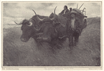 Image ID 814791