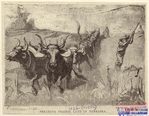 Image ID 814822