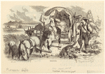 Image ID 814832