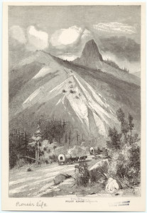 Image ID 814852