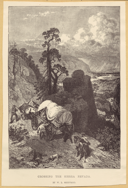 Image ID 814853
