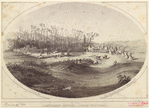 Image ID 814854