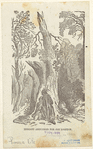 Image ID 814873