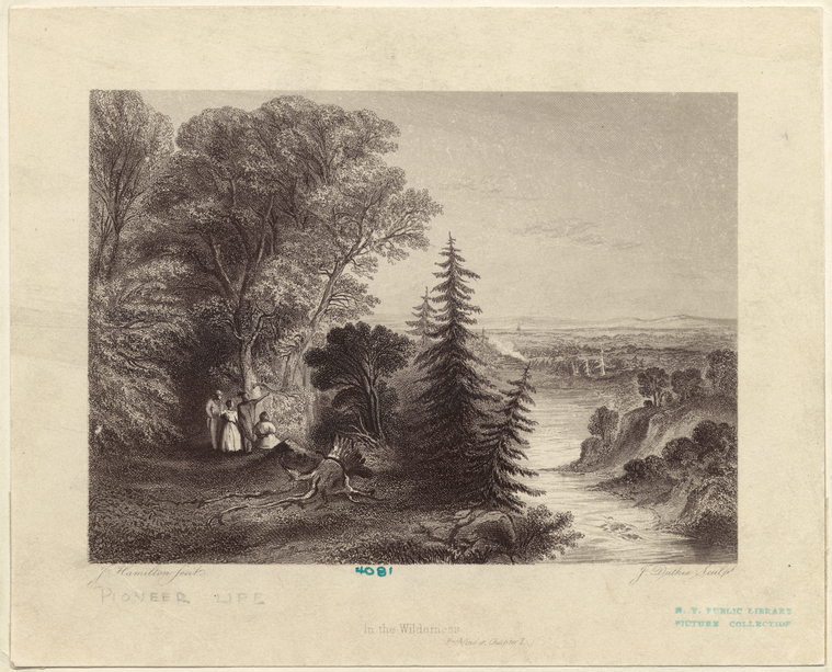 Image ID 814908
