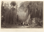 Image ID 814917