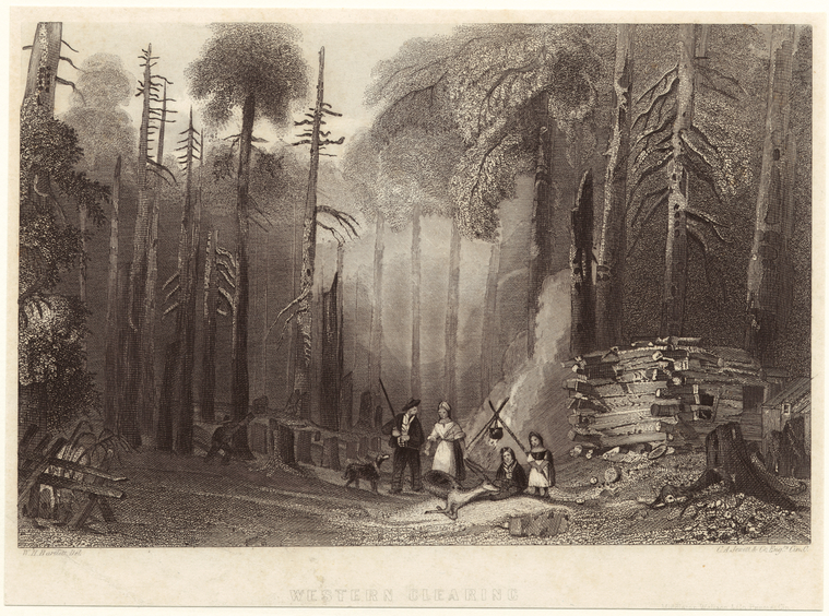 Image ID 814917
