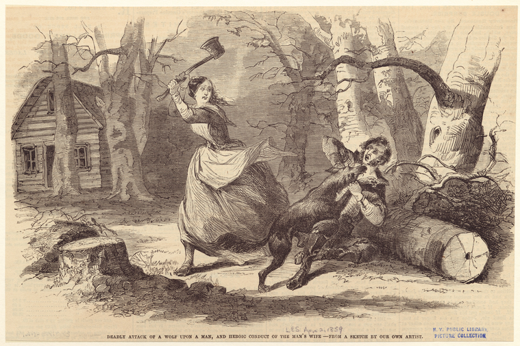 Image ID 814927
