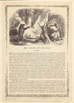 Image ID 814944