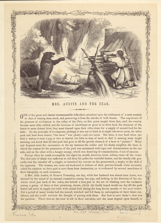 Image ID 814944
