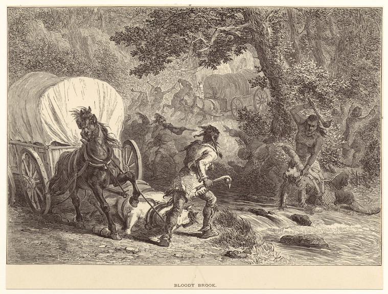 Image ID 814946
