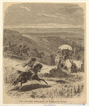 Image ID 814953