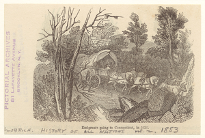 Image ID 814959
