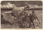 Image ID 814979