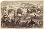 Image ID 814998
