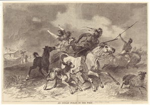 Image ID 815001