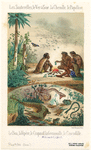 Image ID 815142