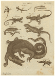 Image ID 815144