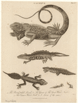 Image ID 815146