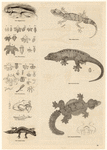 Image ID 815150