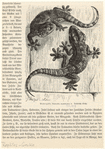 Image ID 815155