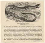Image ID 815160