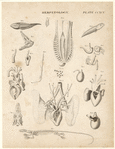 Image ID 815163