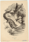 Image ID 815165