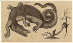 Image ID 815173