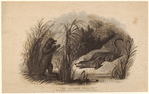 Image ID 815174