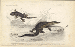 Image ID 815177