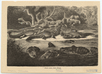 Image ID 815184
