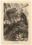 Image ID 815188