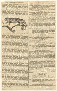 Image ID 815194