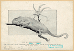 Image ID 815195
