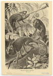 Image ID 815197
