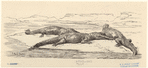 Image ID 815208