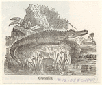 Image ID 815210