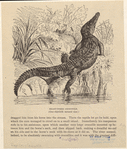 Image ID 815212