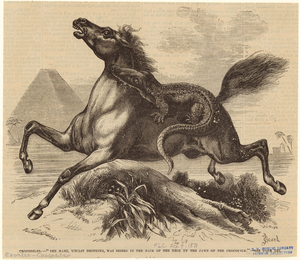 Image ID 815215