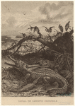 Image ID 815218