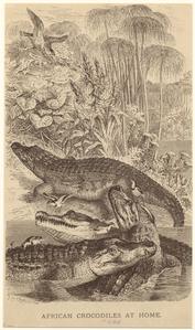 Image ID 815221