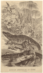 Image ID 815221