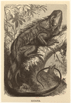 Image ID 815228