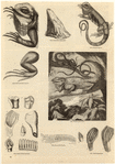 Image ID 815230